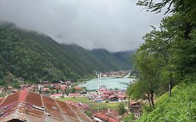 Şahin Apart